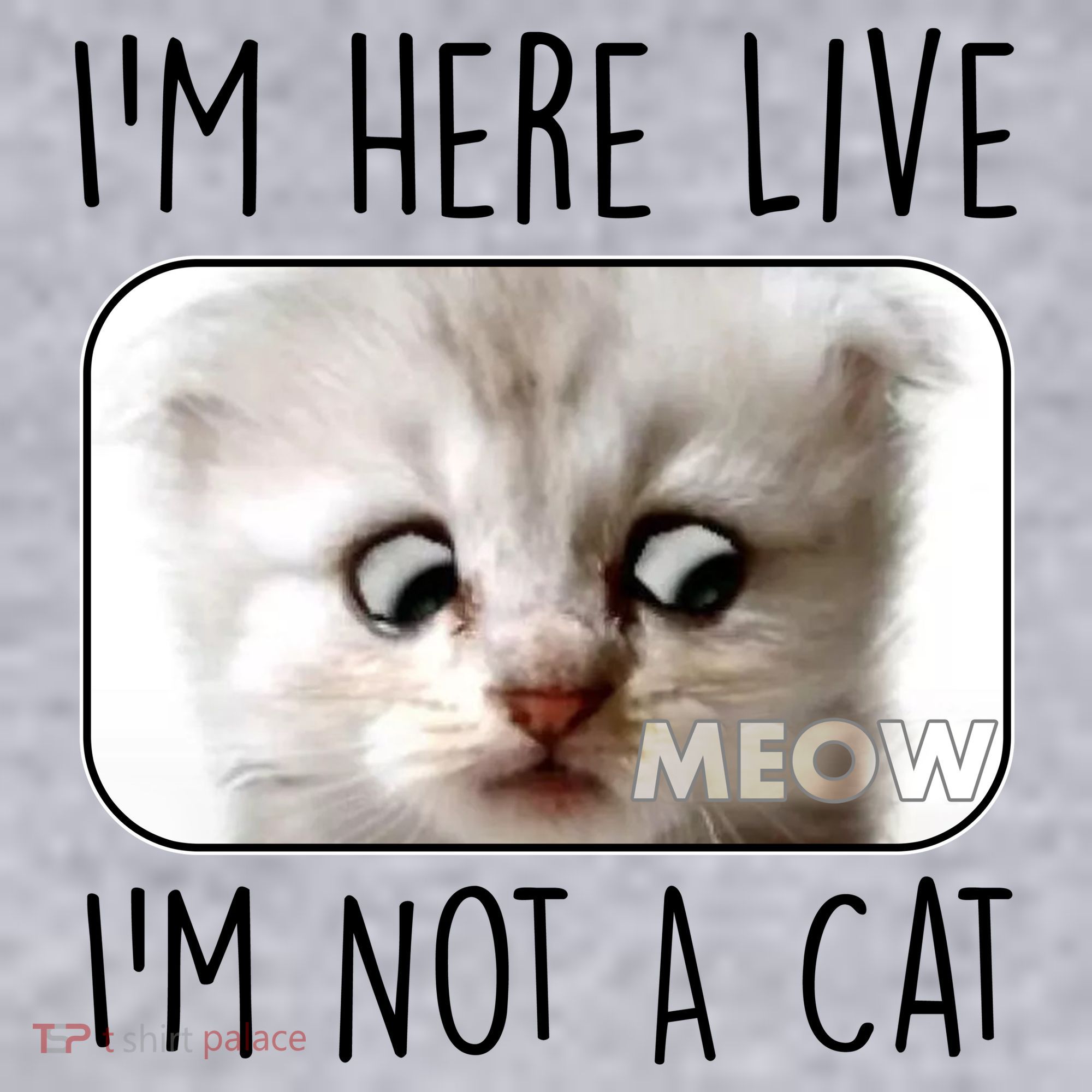 I'm Here Live I'm Not A Cat Zoom Lawyer Cat Meme Women's Racerback Cropped Tank