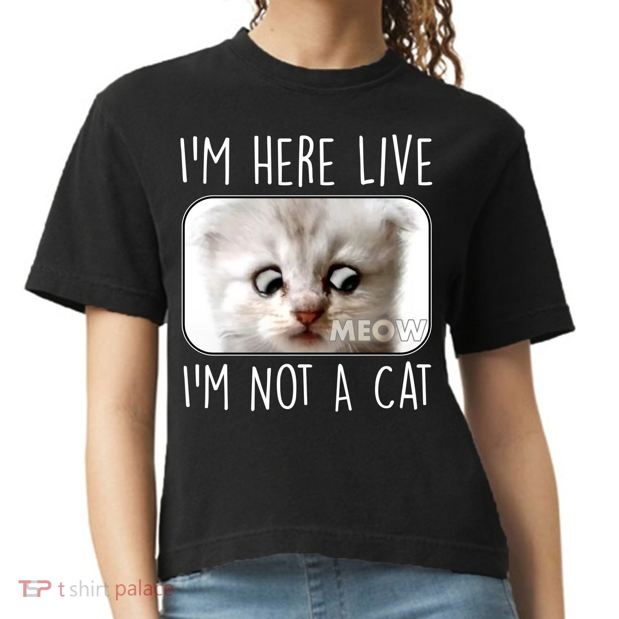 I'm Here Live I'm Not A Cat Zoom Lawyer Cat Meme Comfort Colors Boxy T-Shirt