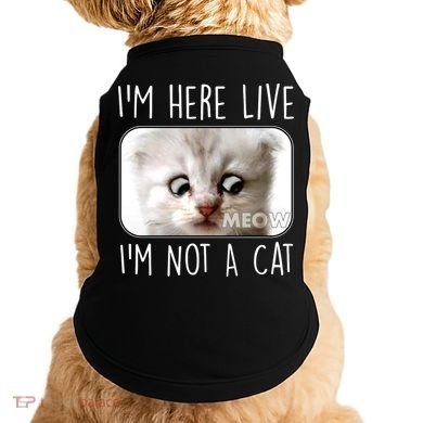 I'm Here Live I'm Not A Cat Zoom Lawyer Cat Meme Doggie Tank