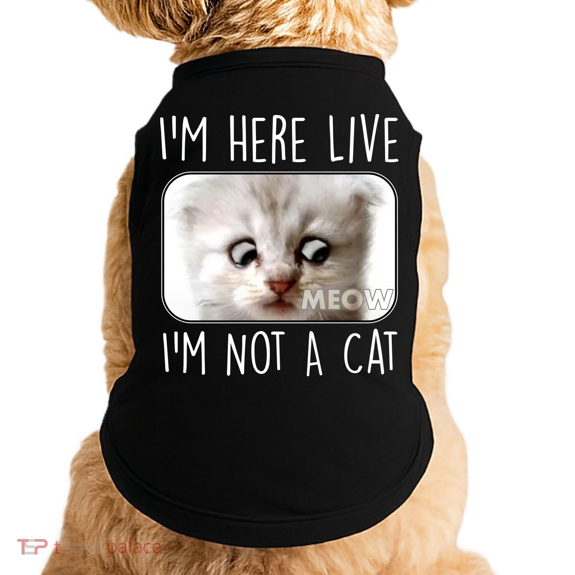 I'm Here Live I'm Not A Cat Zoom Lawyer Cat Meme Doggie Tank