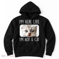 I'm Here Live I'm Not A Cat Zoom Lawyer Cat Meme Hoodie thumb 0