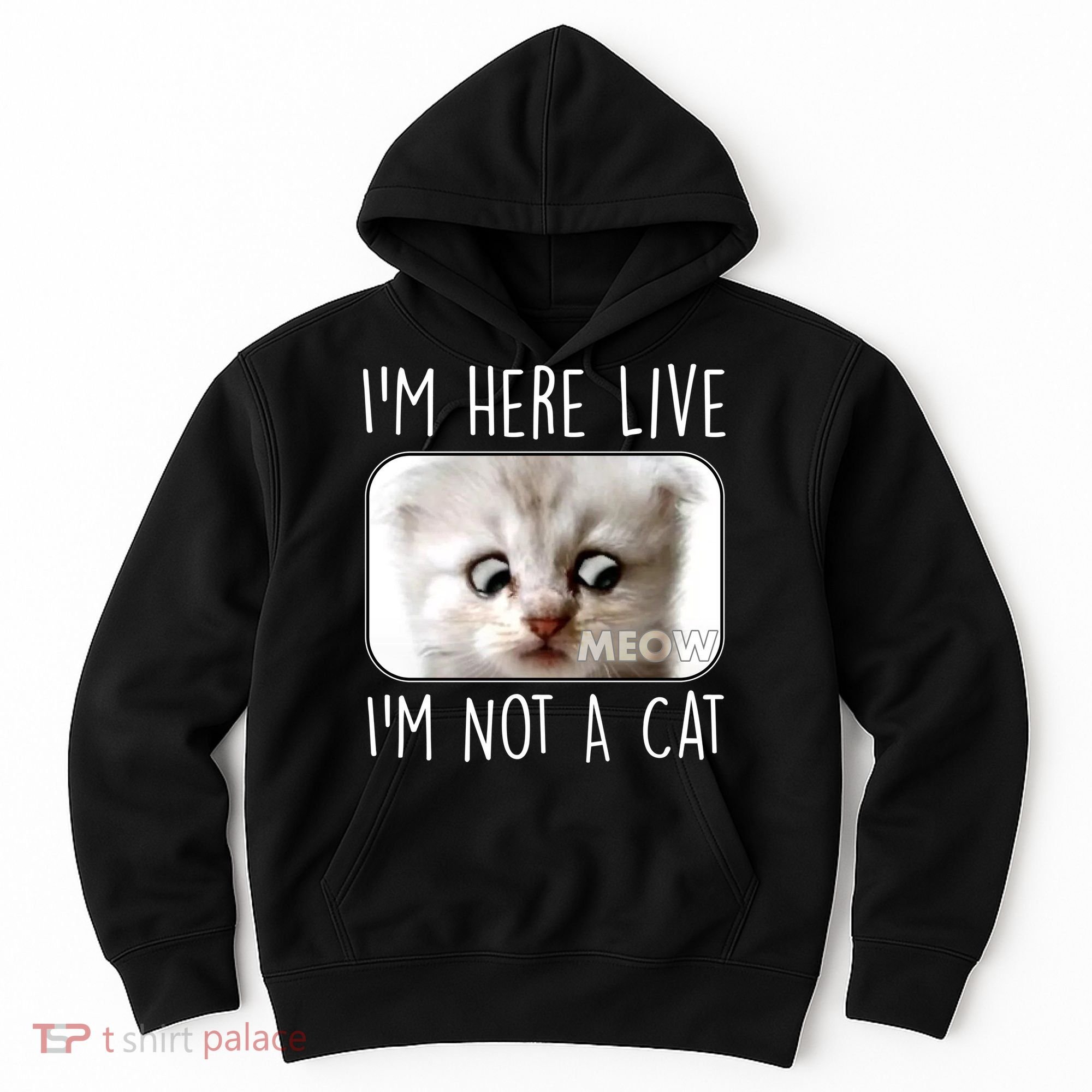 I'm Here Live I'm Not A Cat Zoom Lawyer Cat Meme Hoodie
