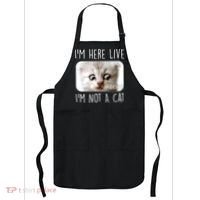I'm Here Live I'm Not A Cat Zoom Lawyer Cat Meme Apron thumb 0