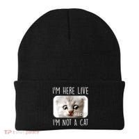I'm Here Live I'm Not A Cat Zoom Lawyer Cat Meme Beanie thumb 0