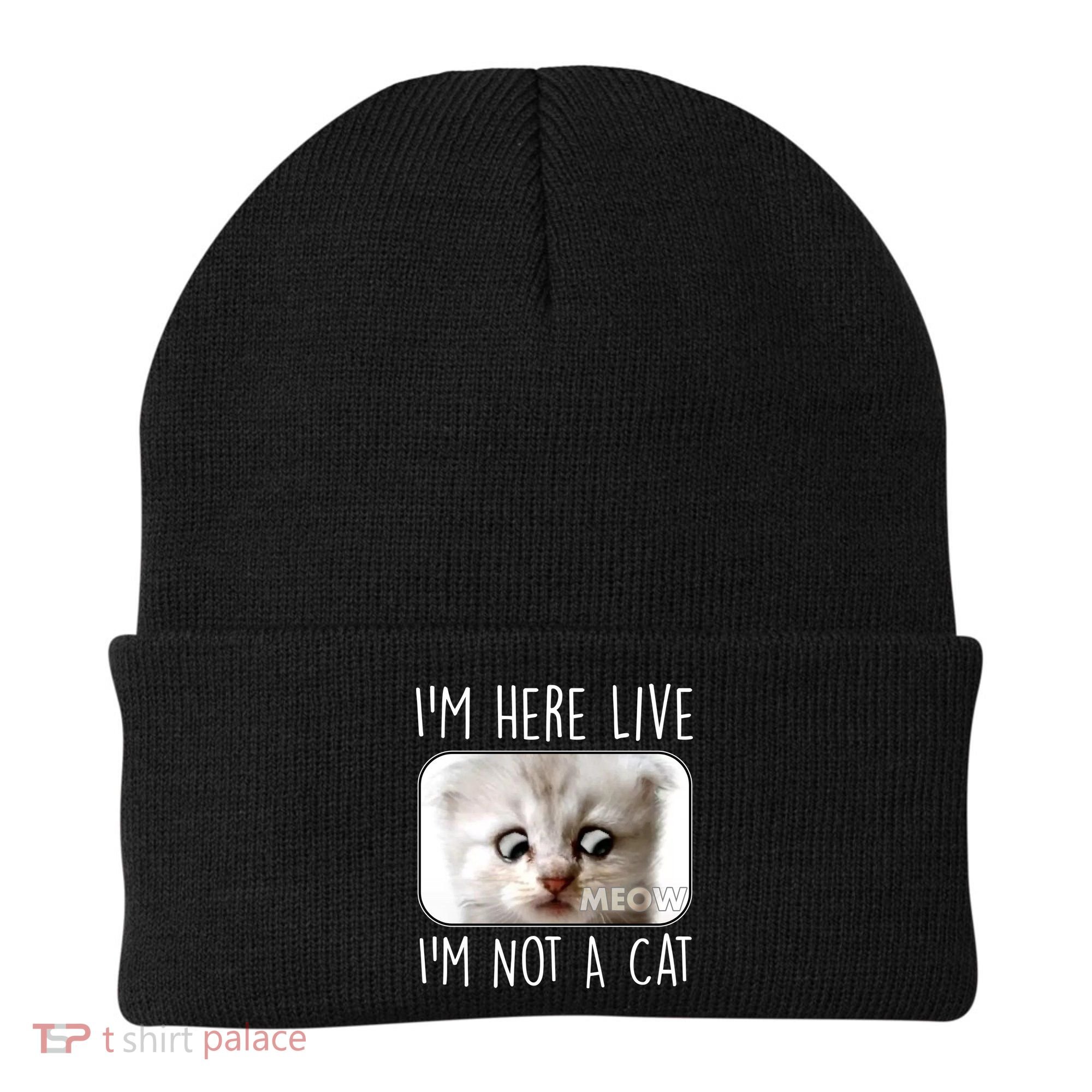 I'm Here Live I'm Not A Cat Zoom Lawyer Cat Meme Beanie