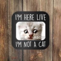 I'm Here Live I'm Not A Cat Zoom Lawyer Cat Meme Coaster thumb 0
