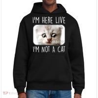 I'm Here Live I'm Not A Cat Zoom Lawyer Cat Meme District V.I.T. Heavyweight Hoodie thumb 0