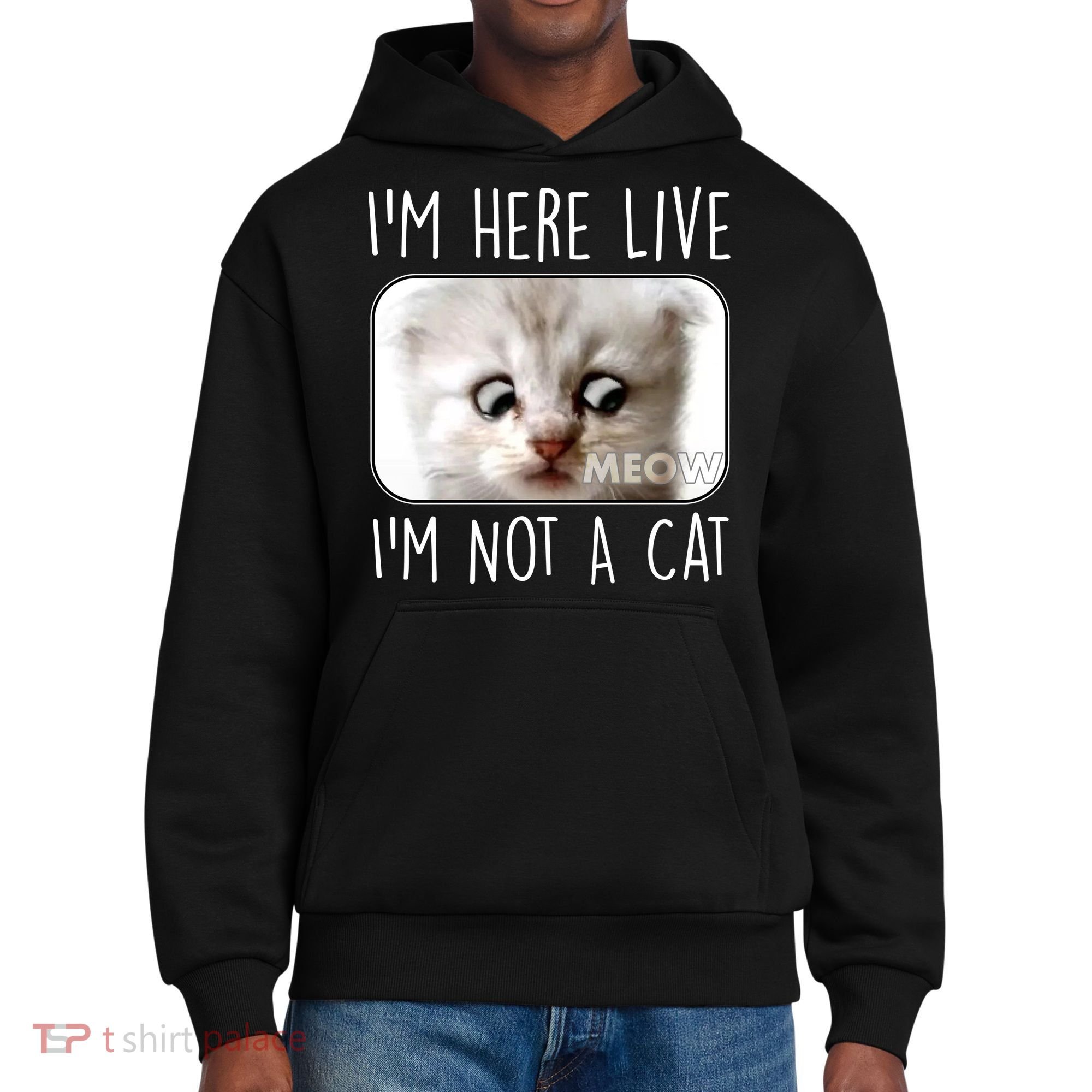 I'm Here Live I'm Not A Cat Zoom Lawyer Cat Meme District V.I.T. Heavyweight Hoodie