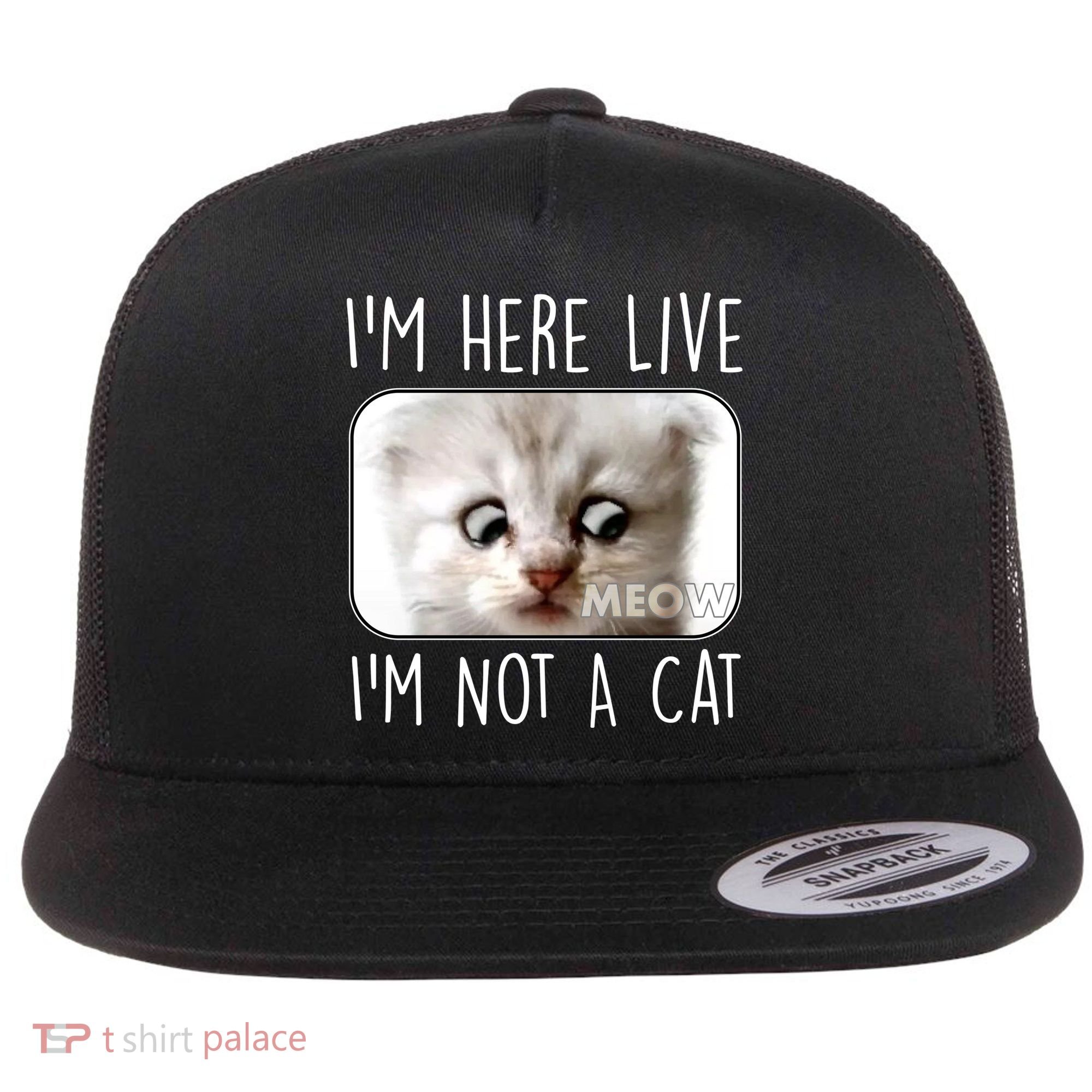 I'm Here Live I'm Not A Cat Zoom Lawyer Cat Meme Flat Bill Trucker Hat