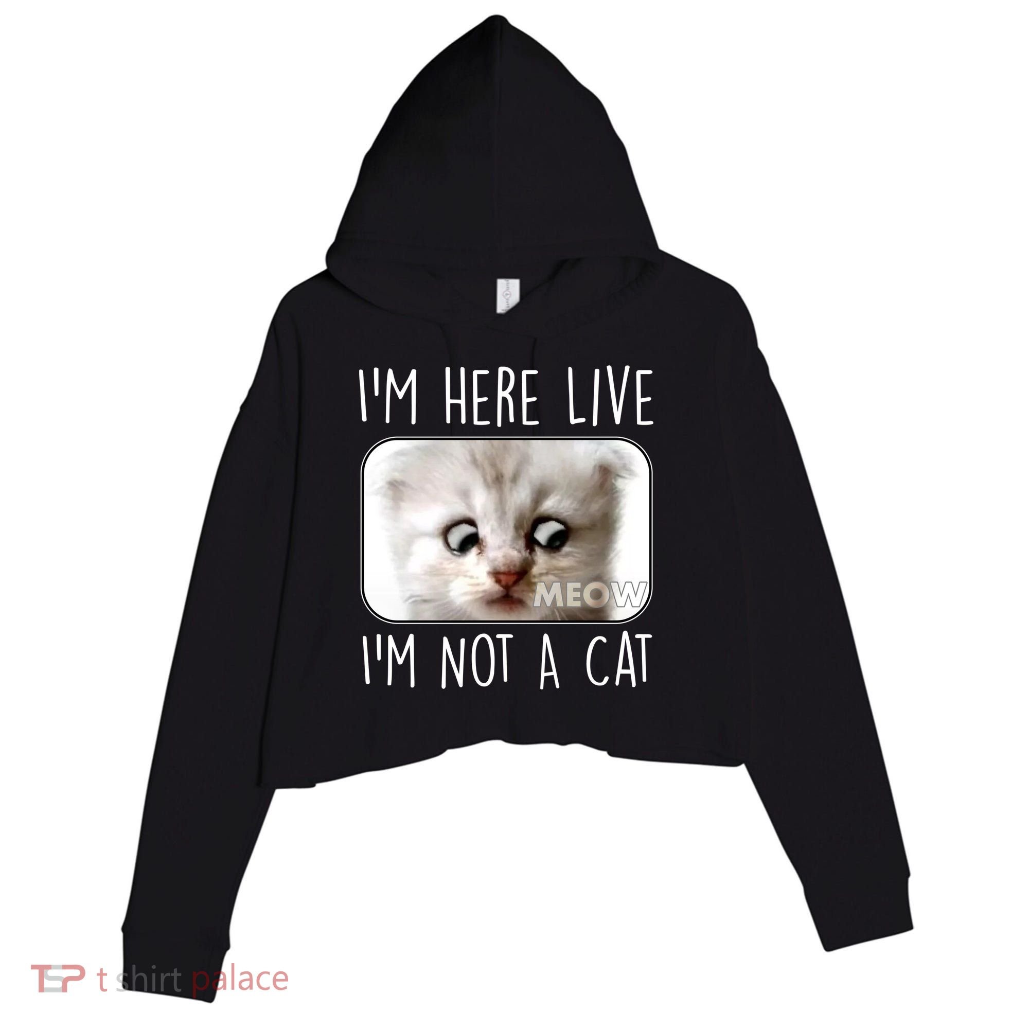 I'm Here Live I'm Not A Cat Zoom Lawyer Cat Meme Crop Fleece Hoodie