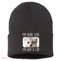 I'm Here Live I'm Not A Cat Zoom Lawyer Cat Meme Sustainable Knit Beanie thumb 0