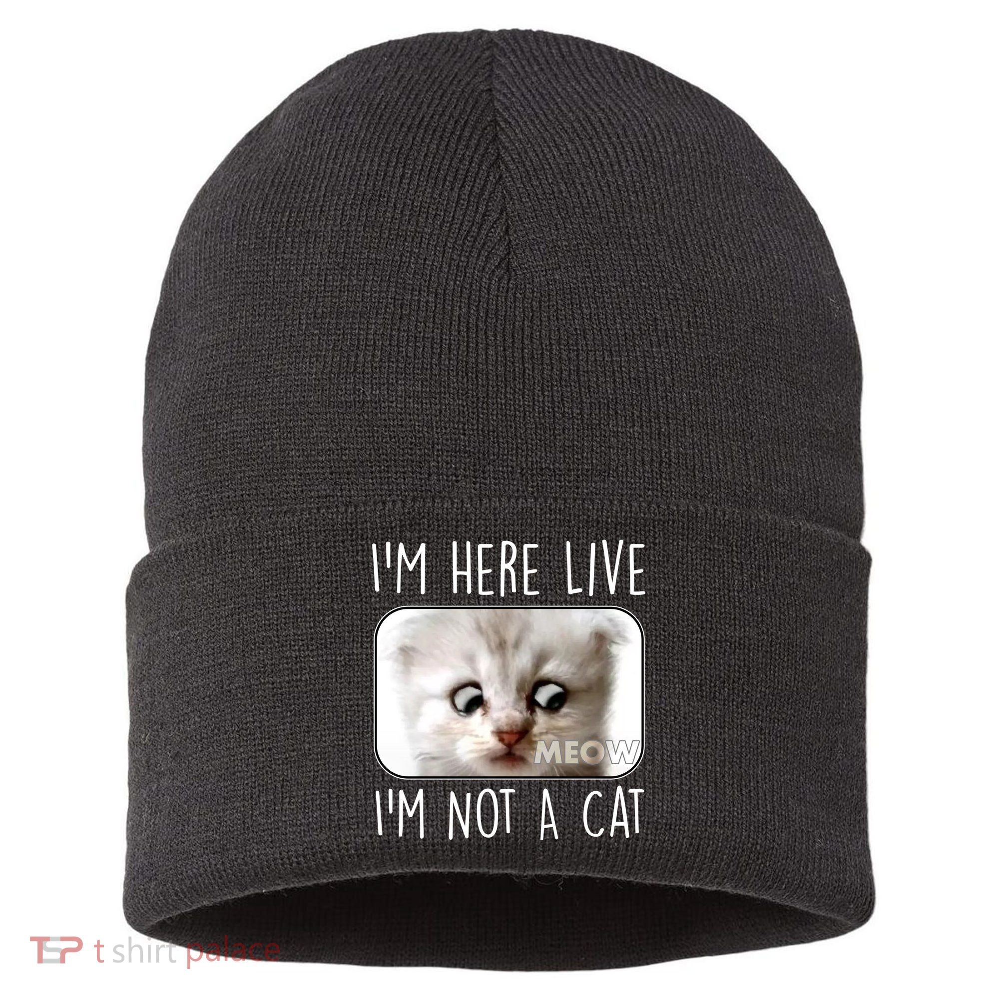 I'm Here Live I'm Not A Cat Zoom Lawyer Cat Meme Sustainable Knit Beanie