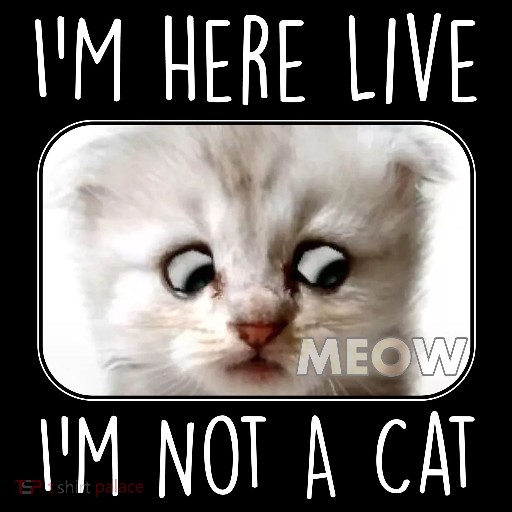 I'm Here Live I'm Not A Cat Zoom Lawyer Cat Meme Pom Pom 12in Knit Beanie