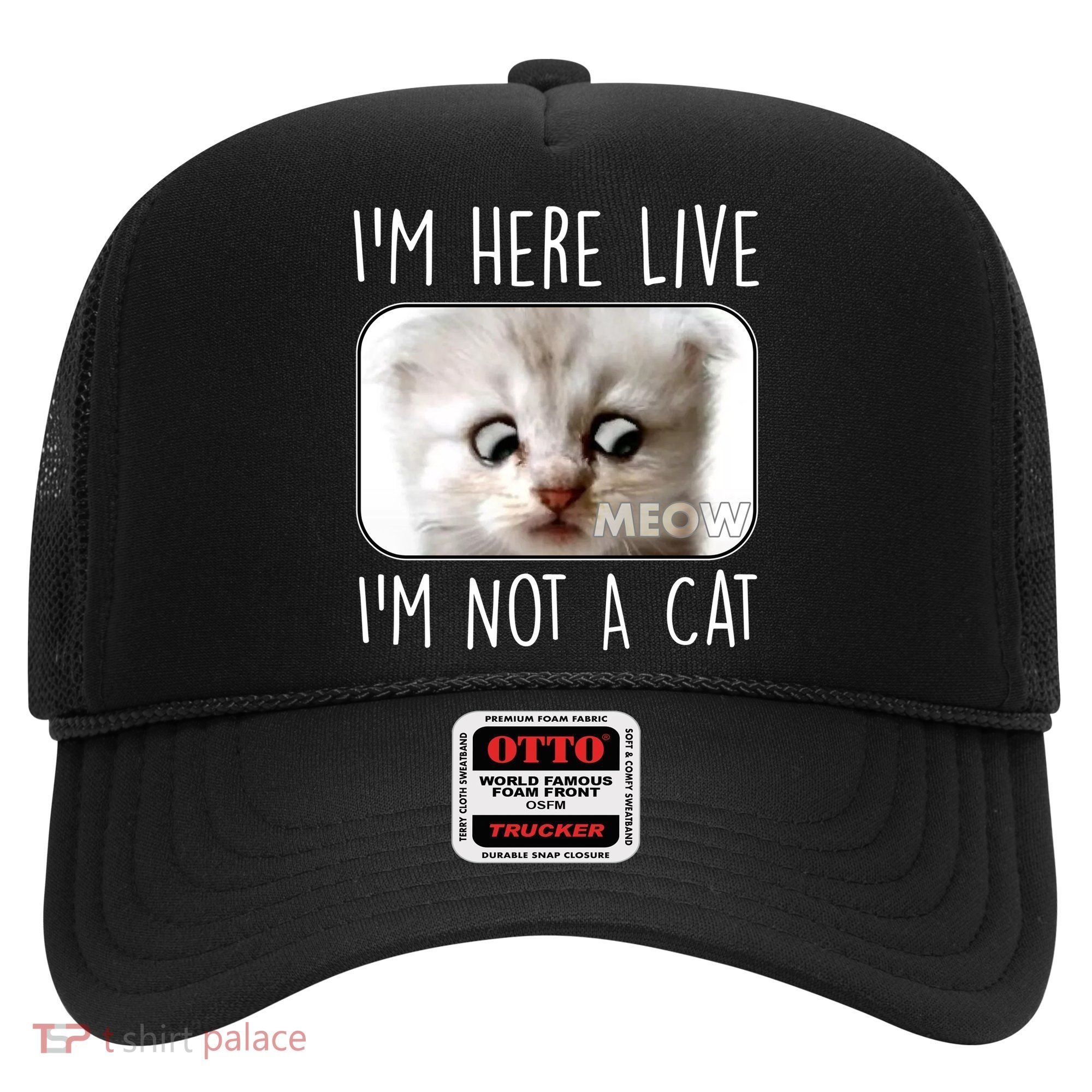 I'm Here Live I'm Not A Cat Zoom Lawyer Cat Meme Hat