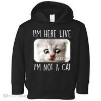 I'm Here Live I'm Not A Cat Zoom Lawyer Cat Meme Toddler Hoodie thumb 0