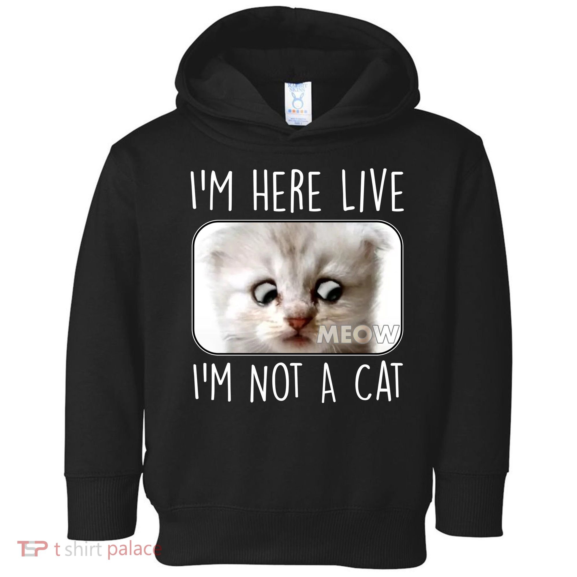 I'm Here Live I'm Not A Cat Zoom Lawyer Cat Meme Toddler Hoodie