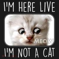 I'm Here Live I'm Not A Cat Zoom Lawyer Cat Meme Tall Hoodie thumb 2