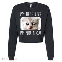 I'm Here Live I'm Not A Cat Zoom Lawyer Cat Meme Cropped Pullover Crew thumb 0