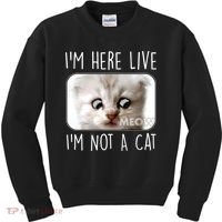 I'm Here Live I'm Not A Cat Zoom Lawyer Cat Meme Kids Sweatshirt thumb 0