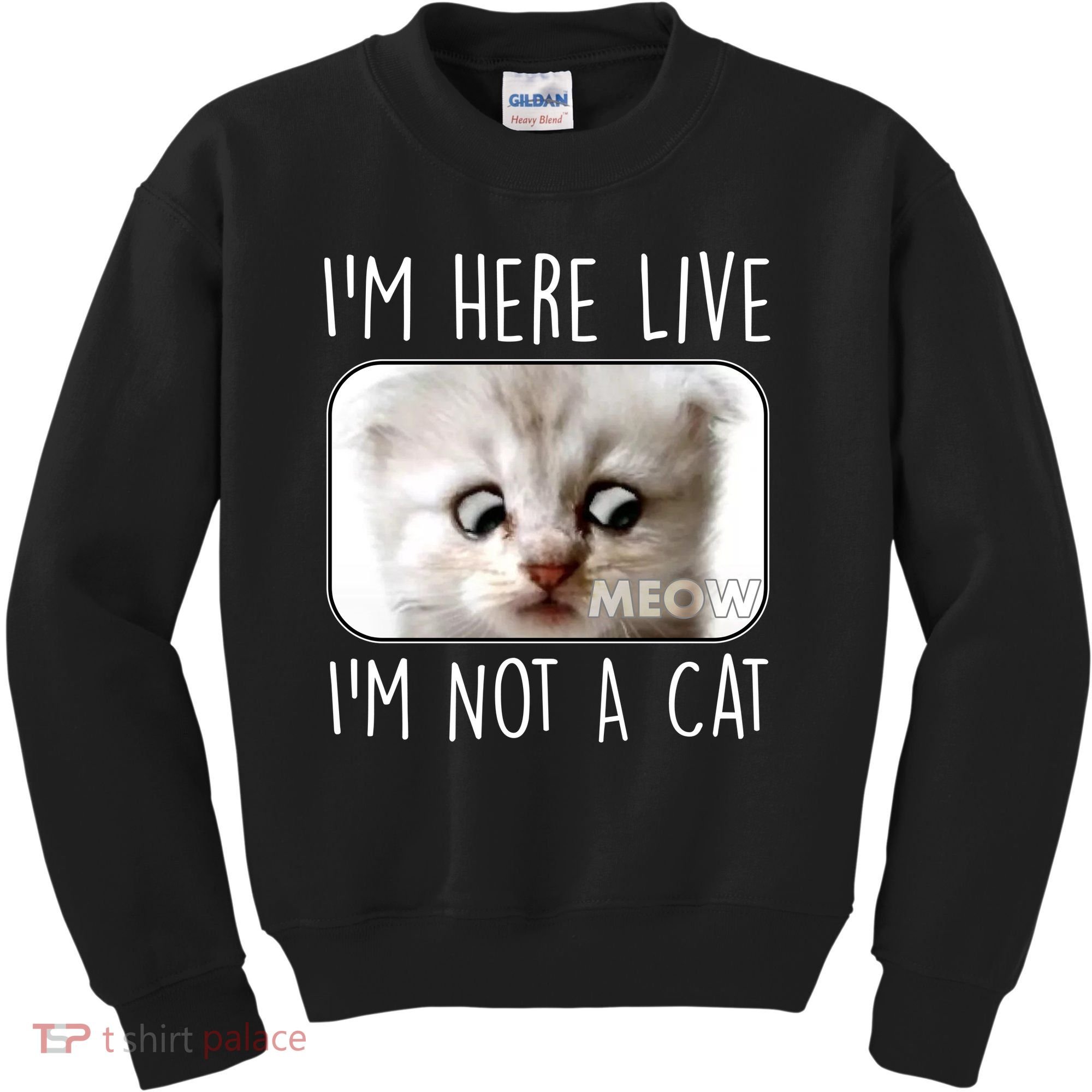 I'm Here Live I'm Not A Cat Zoom Lawyer Cat Meme Kids Sweatshirt