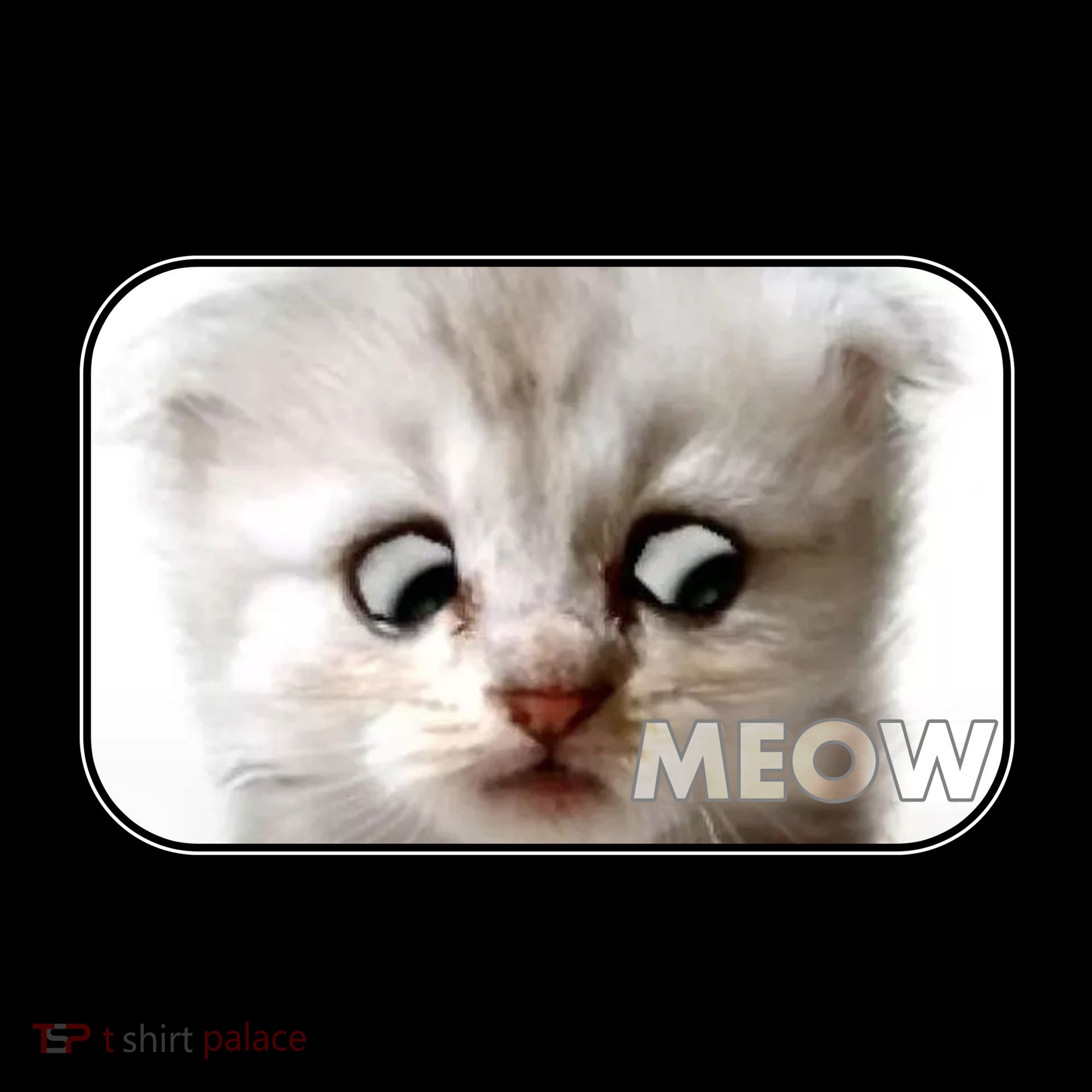 I'm Here Live I'm Not A Cat Zoom Lawyer Cat Meme Kids Colorblock Raglan Jersey