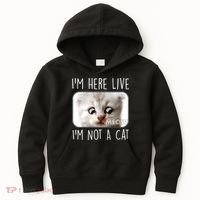 I'm Here Live I'm Not A Cat Zoom Lawyer Cat Meme Kids Hoodie thumb 0