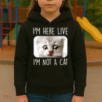 I'm Here Live I'm Not A Cat Zoom Lawyer Cat Meme Kids Hoodie thumb 3