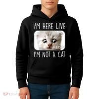 I'm Here Live I'm Not A Cat Zoom Lawyer Cat Meme Kids Hoodie thumb 4