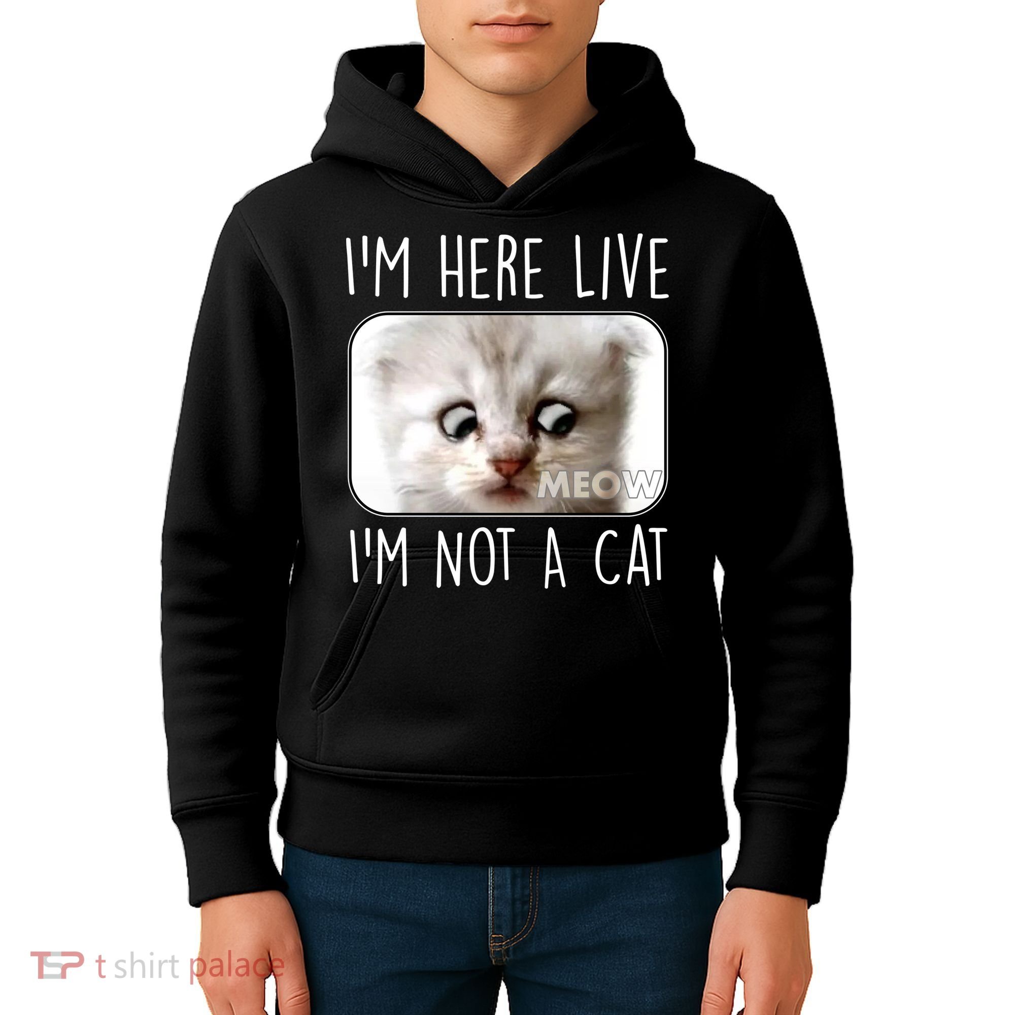 I'm Here Live I'm Not A Cat Zoom Lawyer Cat Meme Kids Hoodie