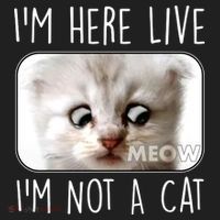 I'm Here Live I'm Not A Cat Zoom Lawyer Cat Meme Kids Long Sleeve Plaid Pajama Set thumb 2