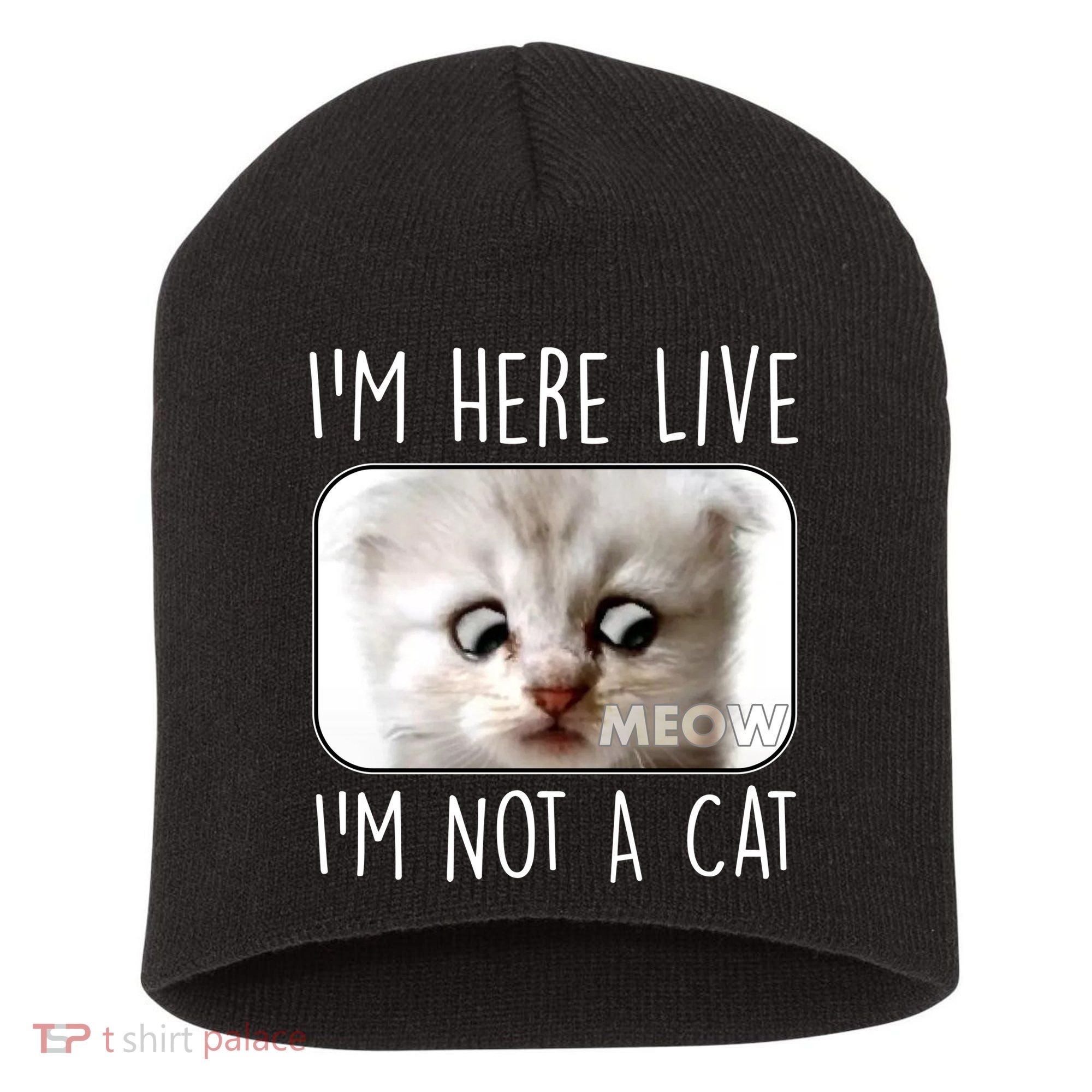I'm Here Live I'm Not A Cat Zoom Lawyer Cat Meme Short Acrylic Beanie