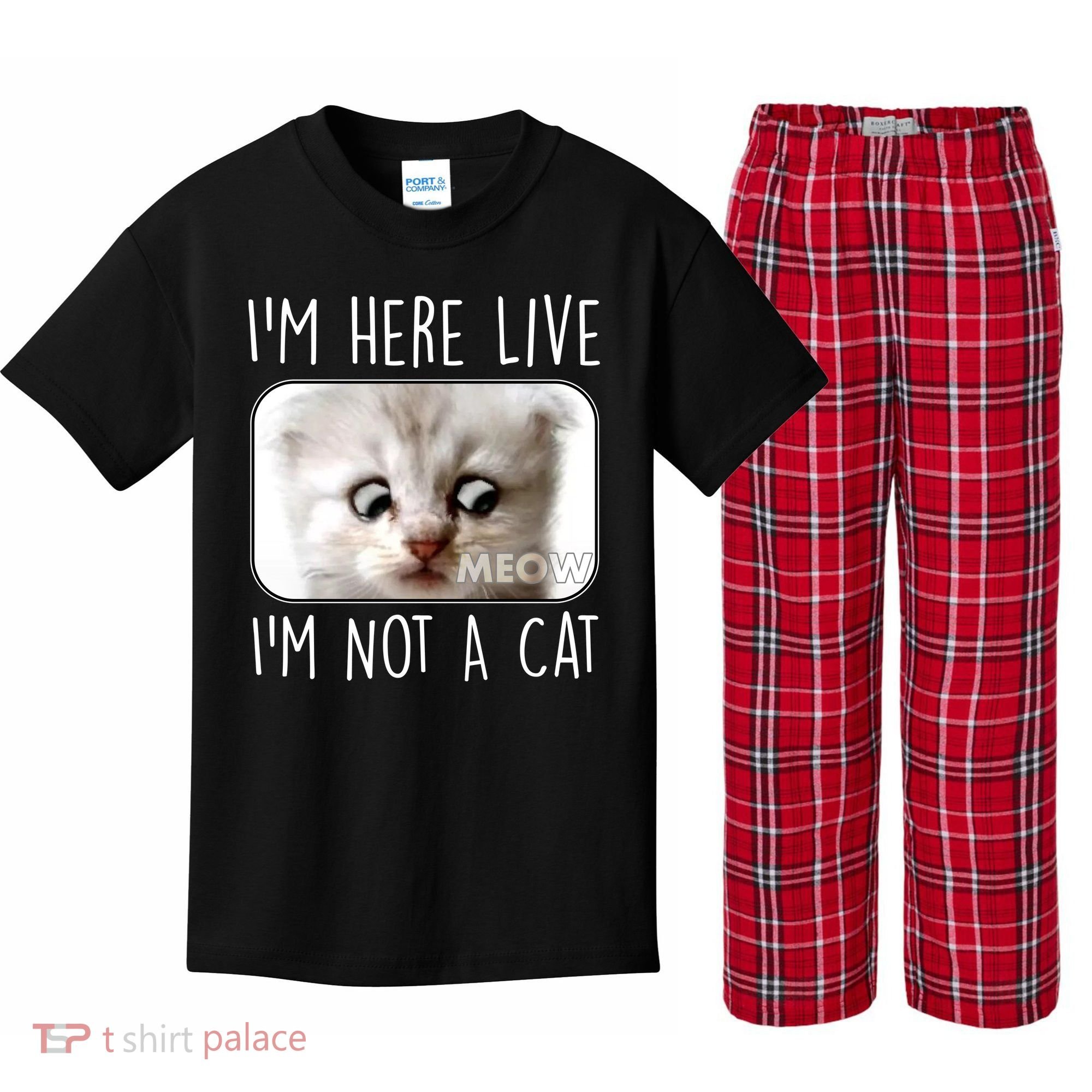 I'm Here Live I'm Not A Cat Zoom Lawyer Cat Meme Kids Plaid Pajama Set