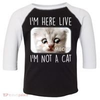 I'm Here Live I'm Not A Cat Zoom Lawyer Cat Meme Toddler Fine Jersey T-Shirt thumb 0