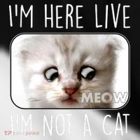 I'm Here Live I'm Not A Cat Zoom Lawyer Cat Meme Toddler Fine Jersey T-Shirt thumb 2