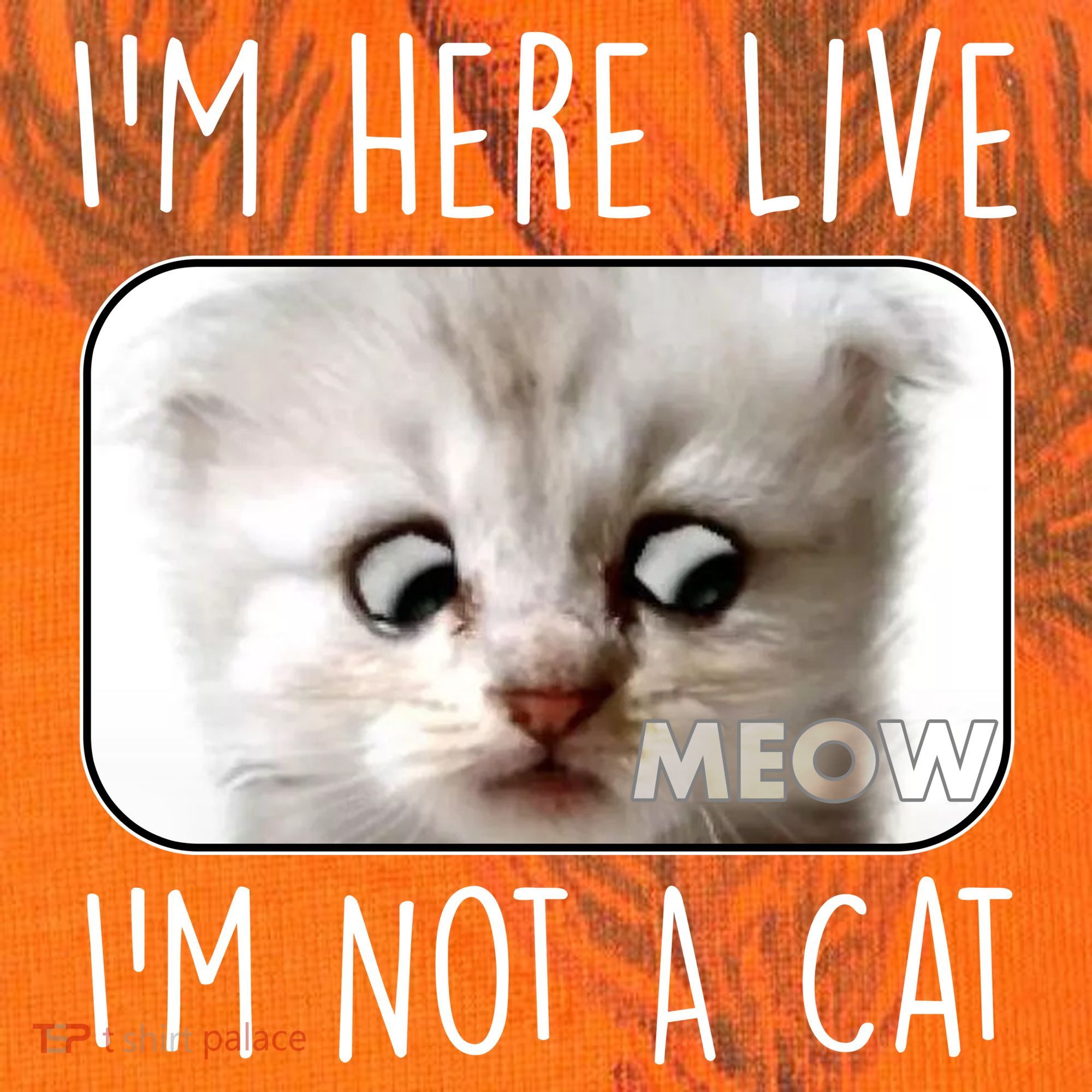 I'm Here Live I'm Not A Cat Zoom Lawyer Cat Meme Kati Licensed 12" Camo Cuffed Beanie