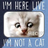 I'm Here Live I'm Not A Cat Zoom Lawyer Cat Meme Raglan Baseball Sleeve Shirt thumb 2