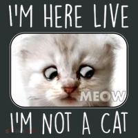 I'm Here Live I'm Not A Cat Zoom Lawyer Cat Meme Infant Baby Jersey Bodysuit thumb 2