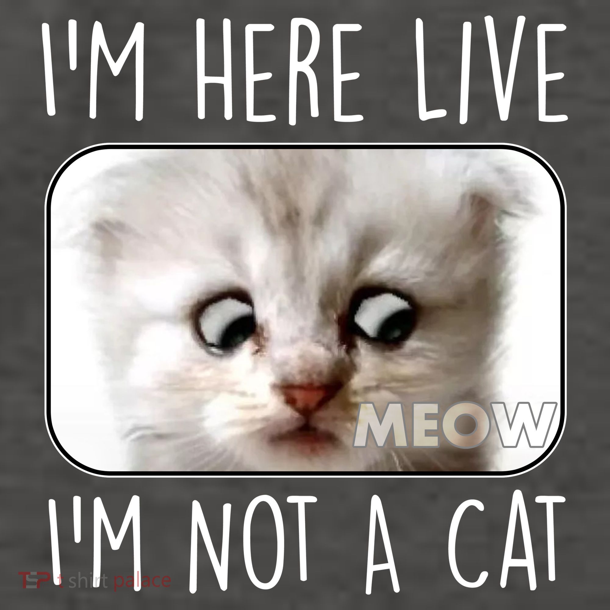 I'm Here Live I'm Not A Cat Zoom Lawyer Cat Meme Vector Backpack