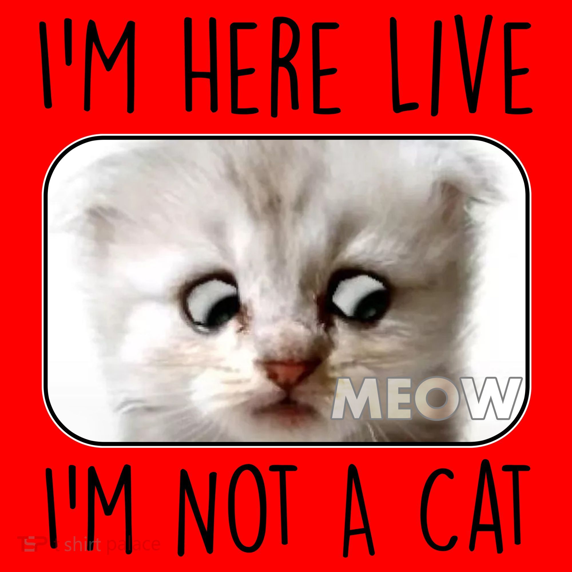 I'm Here Live I'm Not A Cat Zoom Lawyer Cat Meme Santa Hat