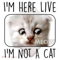 I'm Here Live I'm Not A Cat Zoom Lawyer Cat Meme Ceramic Ornament thumb 2