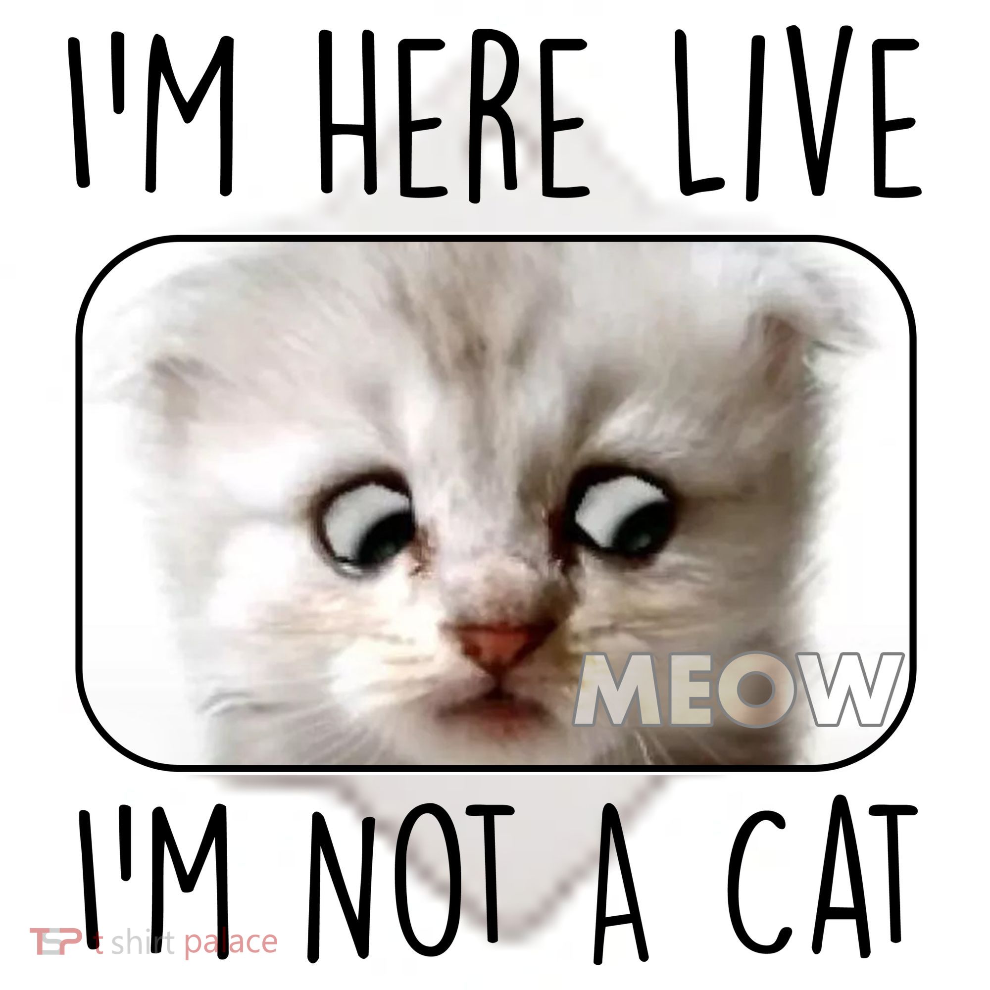 I'm Here Live I'm Not A Cat Zoom Lawyer Cat Meme Ceramic Ornament