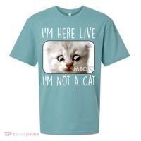 I'm Here Live I'm Not A Cat Zoom Lawyer Cat Meme Sueded Cloud Jersey T-Shirt thumb 0