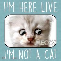 I'm Here Live I'm Not A Cat Zoom Lawyer Cat Meme Sueded Cloud Jersey T-Shirt thumb 2