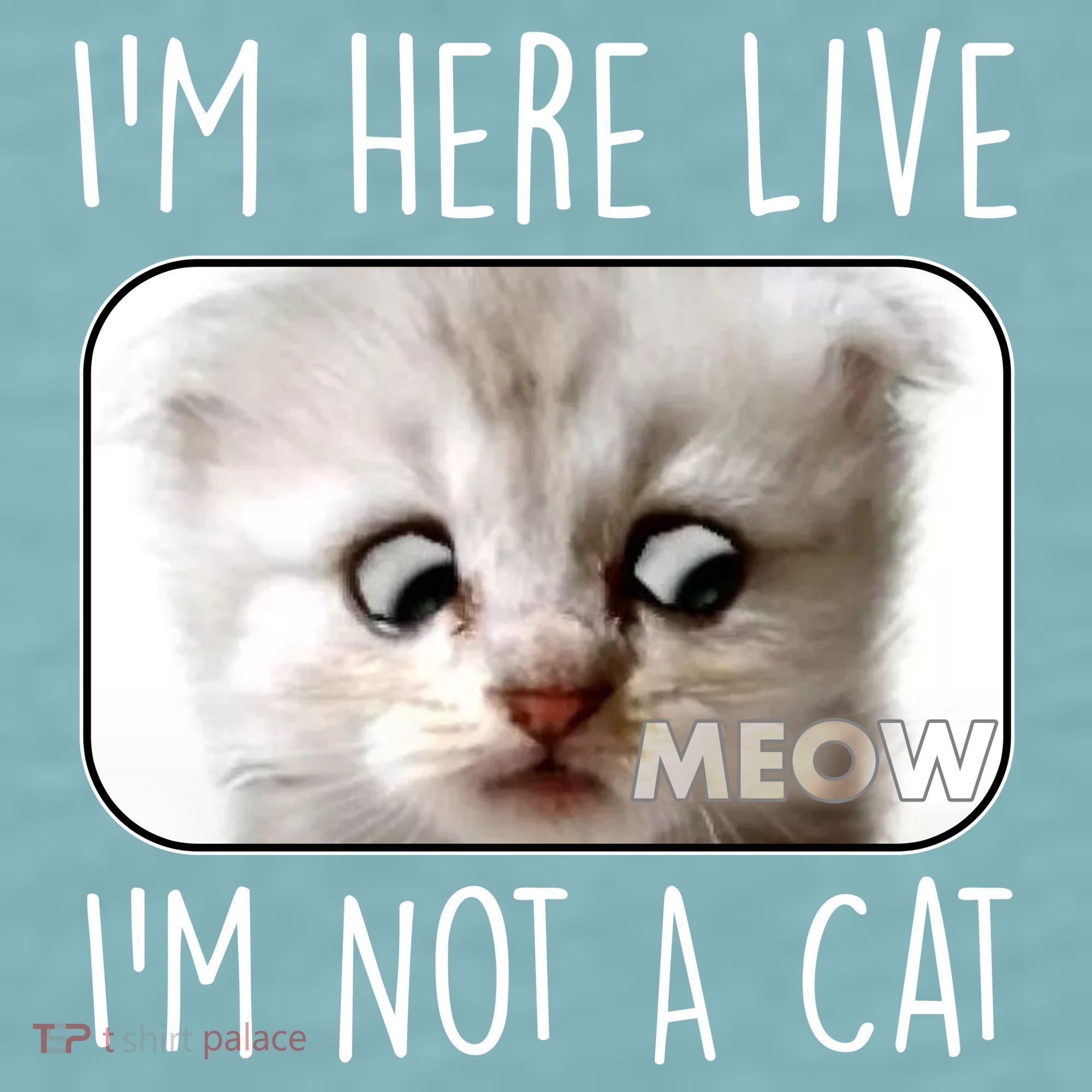 I'm Here Live I'm Not A Cat Zoom Lawyer Cat Meme Sueded Cloud Jersey T-Shirt