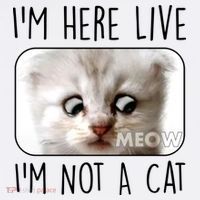 I'm Here Live I'm Not A Cat Zoom Lawyer Cat Meme Garment-Dyed Sweatshirt thumb 2