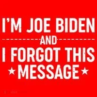 I'm Joe Biden and I Forgot This Message Toddler Hoodie thumb 2