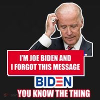 I'm Joe Biden I Forgot This Message Biden You Know The Thing Funny T-Shirt thumb 7