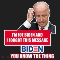 I'm Joe Biden I Forgot This Message Biden You Know The Thing Funny Beanie thumb 2