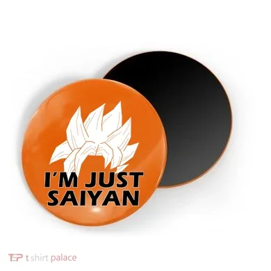 Magnet