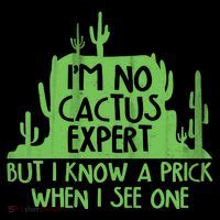 I'm No Cactus Expert But I Know a Prick When I See One Button thumb 1